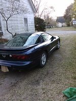 Firebird Firebird