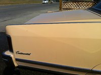 Continental Continental
