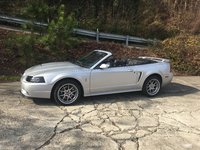 Mustang SVT Cobra Mustang SVT Cobra