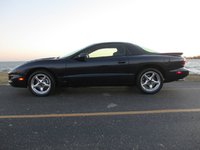 Firebird Firebird