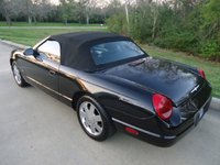 Thunderbird Thunderbird