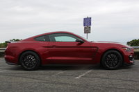 Shelby GT350 Shelby GT350