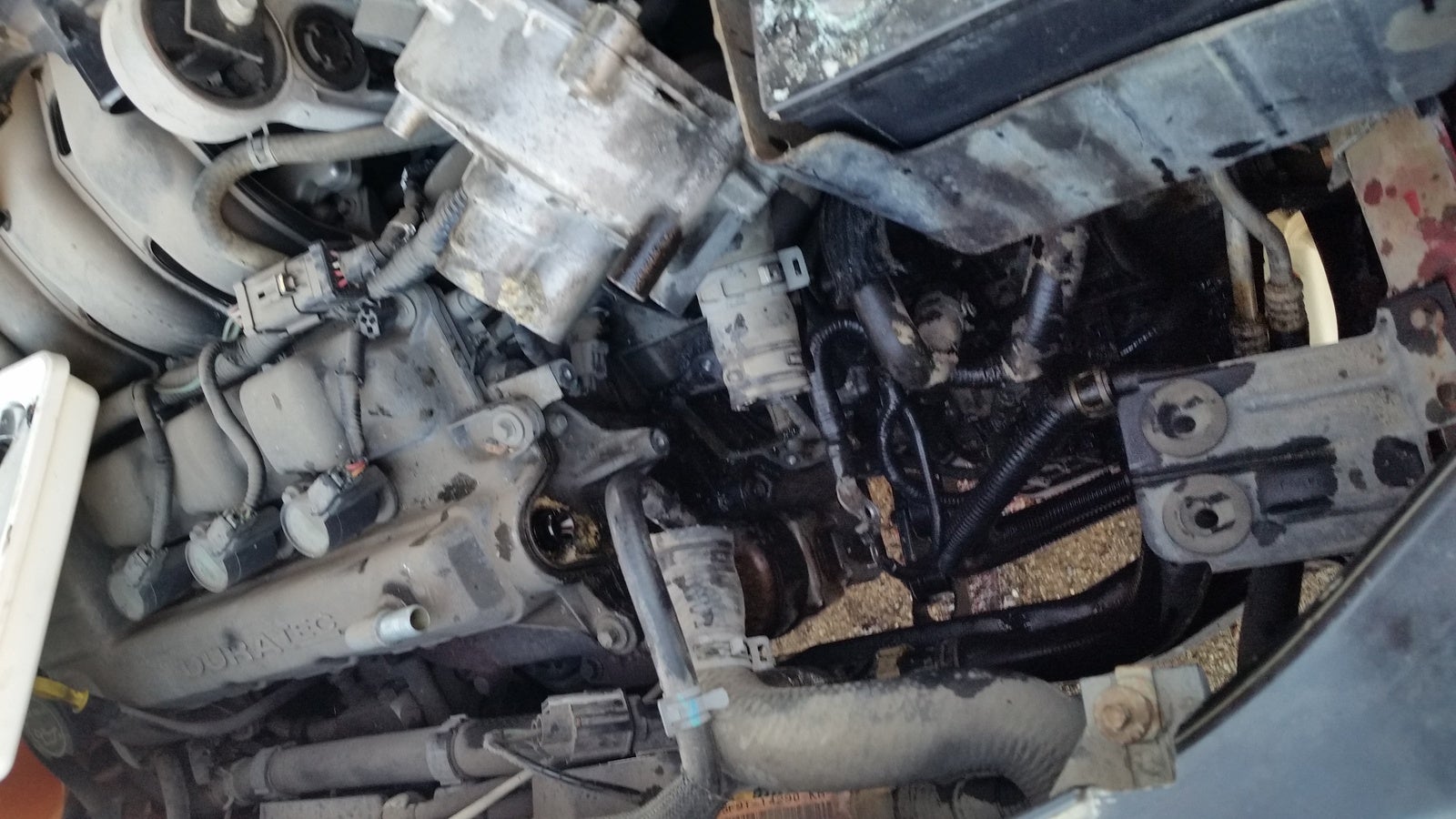2006 freestyle transmission removal