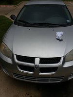 Stratus Stratus