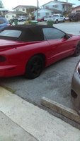 Firebird Firebird