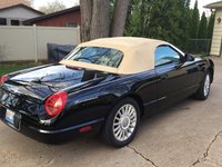 Thunderbird Thunderbird