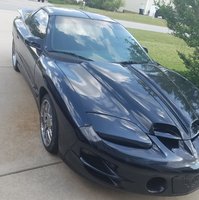 Firebird Firebird