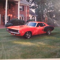 Barracuda Barracuda