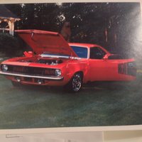Barracuda Barracuda