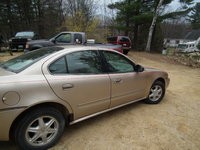 Alero Alero