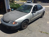 Cavalier Cavalier