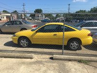 Cavalier Cavalier
