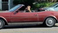 Riviera Riviera