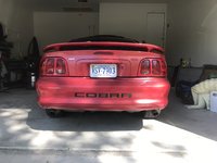 Mustang SVT Cobra Mustang SVT Cobra