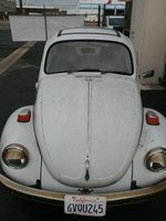 Super Beetle Super Beetle