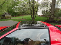Firebird Firebird