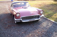 Thunderbird Thunderbird