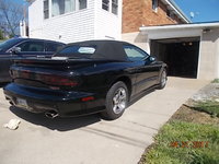Firebird Firebird