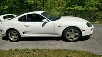 Supra Supra