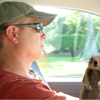 David MacIntosh David MacIntosh
