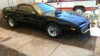Firebird Firebird