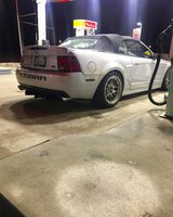 Mustang SVT Cobra Mustang SVT Cobra
