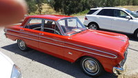 Falcon Falcon