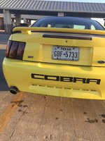 Mustang SVT Cobra Mustang SVT Cobra