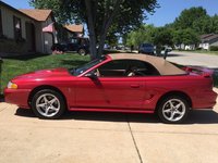 Mustang SVT Cobra Mustang SVT Cobra