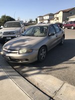 Cavalier Cavalier