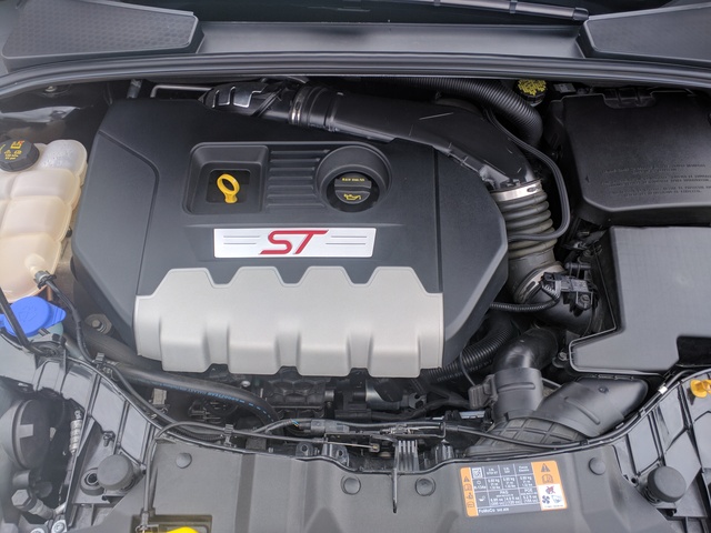 2014 Ford Focus - Pictures - CarGurus