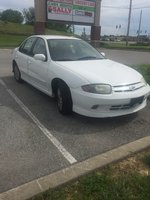 Cavalier Cavalier