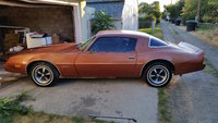 Firebird Firebird