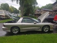 Firebird Firebird