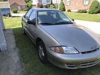 Cavalier Cavalier