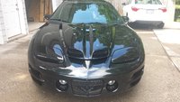 Firebird Firebird