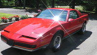 Firebird Firebird