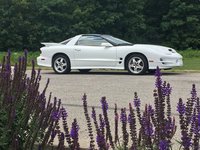 Firebird Firebird