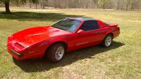 Firebird Firebird