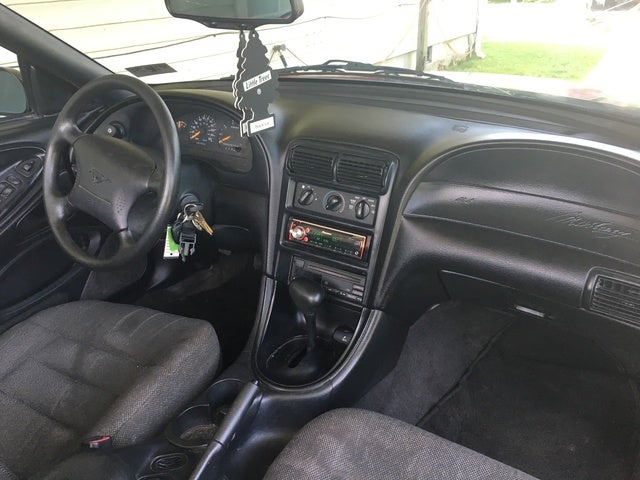 1998 Ford Mustang Interior Pictures Cargurus