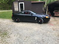 Tiburon Tiburon