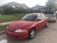 Cavalier Cavalier