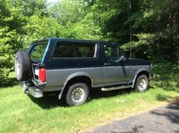 Bronco Bronco