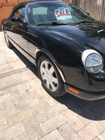 Thunderbird Thunderbird