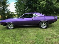 Barracuda Barracuda