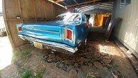 Road Runner Road Runner