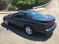 Firebird Firebird