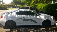 Tiburon Tiburon