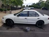 Cavalier Cavalier
