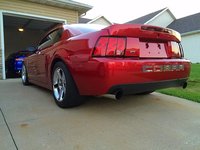 Mustang SVT Cobra Mustang SVT Cobra